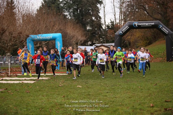 15406234493_fc251dc082_o