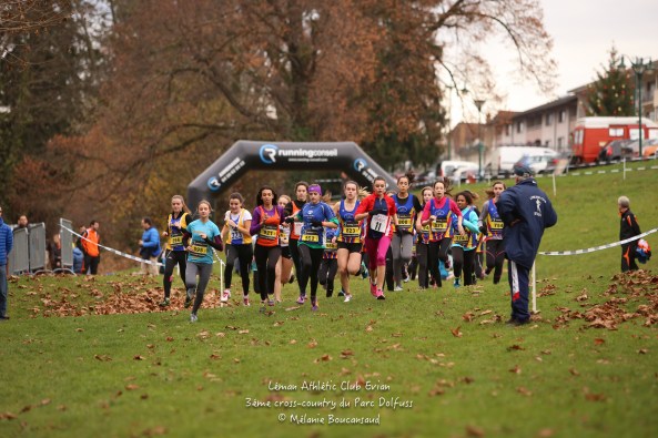 15410182453_f87453a763_o