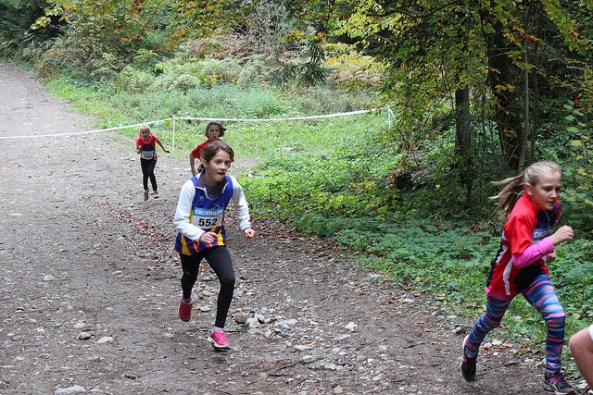 21907982088_0ac735a38b_z