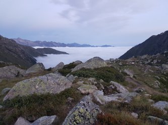 40376901_2669285499963137_3184635344230285312_o