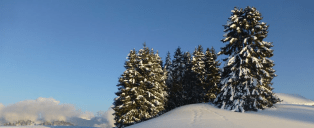 foulées blanches des brasses