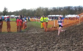 53875459_2227007974230929_522618535474626560_n