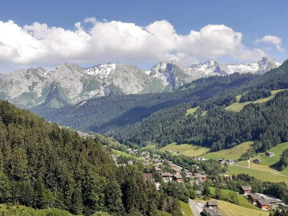 105344662_10219961043674453_9133581249564528603_n